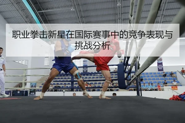 职业拳击新星在国际赛事中的竞争表现与挑战分析
