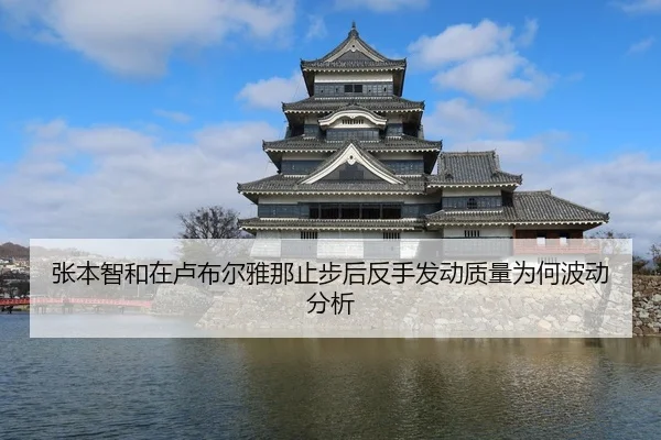 张本智和在卢布尔雅那止步后反手发动质量为何波动分析