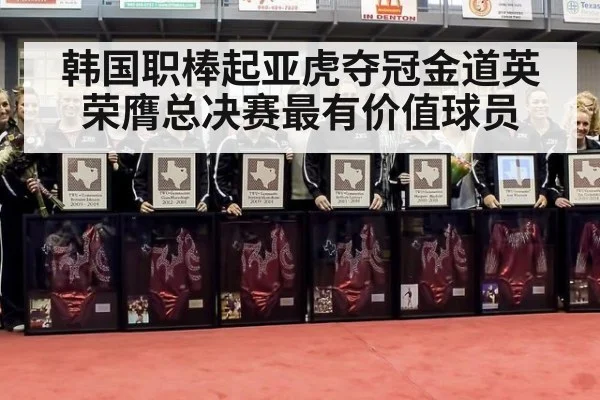 韩国职棒起亚虎夺冠金道英荣膺总决赛最有价值球员