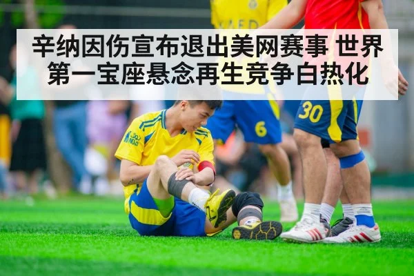 辛纳因伤宣布退出美网赛事 世界第一宝座悬念再生竞争白热化