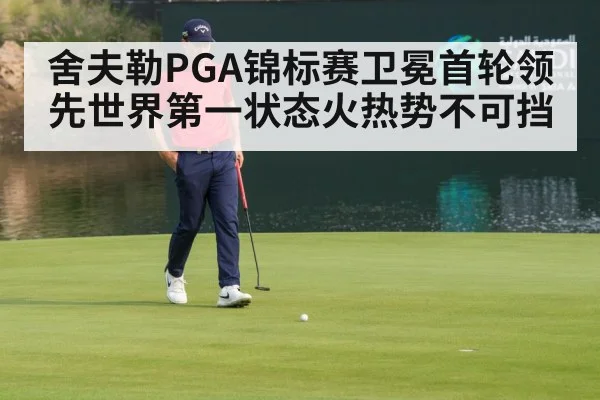 舍夫勒PGA锦标赛卫冕首轮领先世界第一状态火热势不可挡