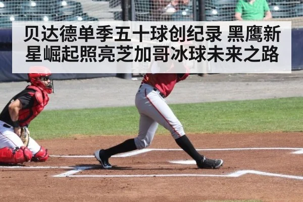贝达德单季五十球创纪录 黑鹰新星崛起照亮芝加哥冰球未来之路